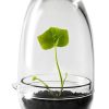 Design House Stockholm Pots Et Plantes | Mini Serre Grow Small Verre Transparent / O 8 X H 14 Cm - Design House Stockholm