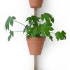 Compagnie Pots Et Plantes | Support Mural Xpot Bois / Pour 3 Pots De Fleurs Ou Etageres - H 150 Cm - Compagnie