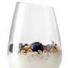 Eva Solo Verres | Verre A Eau Verre Transparent Small / 38 Cl - Eva Solo