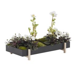 Design House Stockholm Pots Et Plantes | Pot De Fleurs Botanic Tray Metal Noir / Plateau - 45 X 20 Cm X H 4,8 Cm - Design House Stockholm