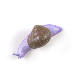 Seletti Portemanteaux Et Pateres | Patere Snail Awake Plastique Multicolore / Escargot - Resine - Seletti