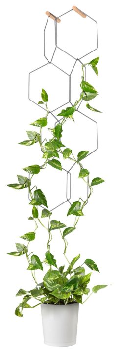 Compagnie Pots Et Plantes | Treillage Anno Metal Noir / Set 8 Hexagones Modulables - Compagnie