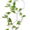 Compagnie Pots Et Plantes | Treillage Anno Metal Noir / Set 8 Hexagones Modulables - Compagnie