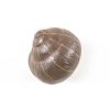 Seletti Portemanteaux Et Pateres | Patere Snail Sleeping Plastique Multicolore / Escargot - Resine - Seletti