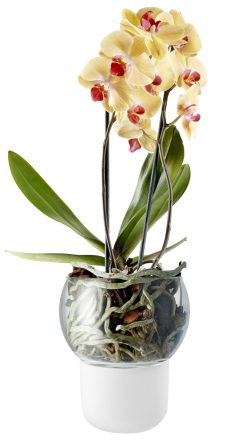 Eva Solo Pots Et Plantes | Pot A Reserve D'Eau Verre Blanc Large O 15 Cm / Pour Orchidee - Eva Solo