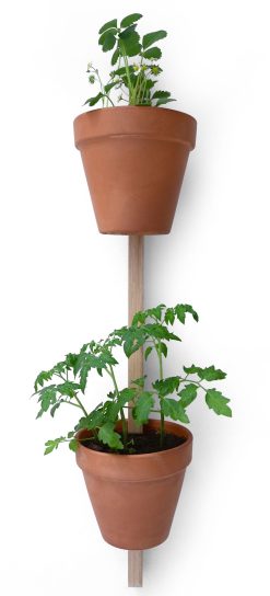 Compagnie Pots Et Plantes | Support Mural Xpot Bois / Pour 2 Pots De Fleurs Ou Etageres - H 100 Cm - Compagnie