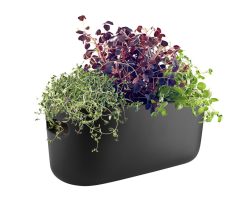 Eva Solo Pots Et Plantes | Pot A Reserve D'Eau Herb Ceramique Noir / Bac A Herbes Aromatiques - Eva Solo